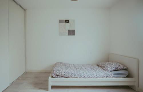 pepiniere - Photo 11