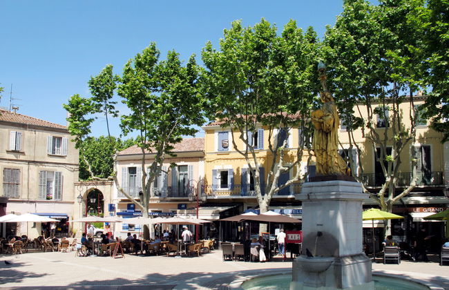 Les Palmiers - Foto 21