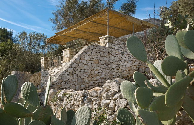 Pajara Acquaviva - Foto 14