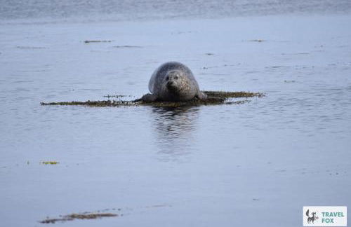 Charlotte Street Stay - Foto 6