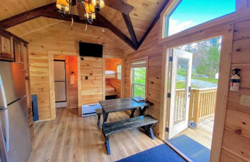 B3 NEW Awesome Tiny Home with AC Mountain Views Minutes to Skiing Hiking Attractions - Foto 23