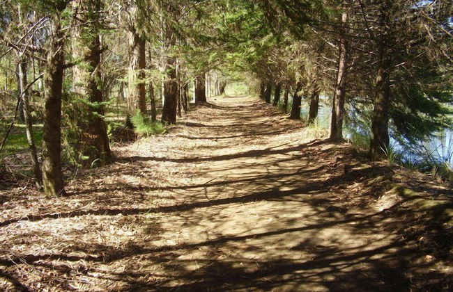 Harry World Parque Hotel - Photo 23