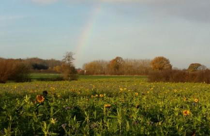 Wormshöft 16 - Foto 35