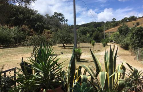 Quinta Boavista - Foto 25