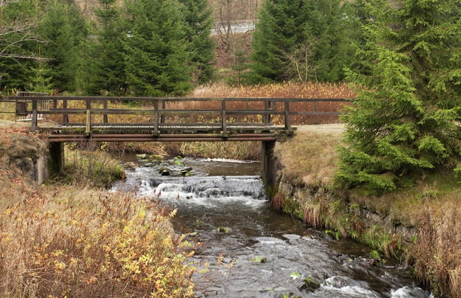 Nice Apartment in Allrode With Private Terrace - Photo 41