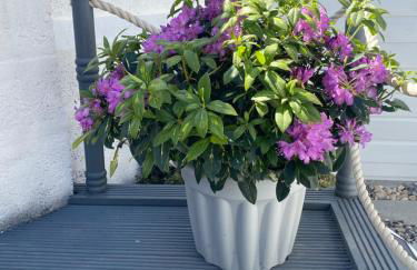 39 Wells Street Apartment - Photo 16