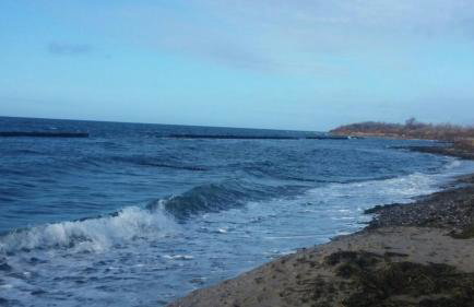 Ferienwohnung Rügen-Freiheit - Foto 22