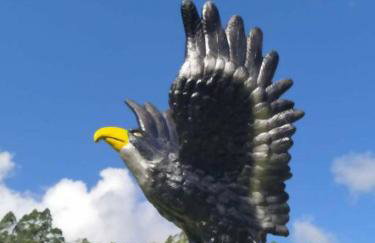 Casa de Campo Chácara Recanto da Águia - Foto 24