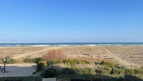 Port Leucate : superbe appartement pleine vue mer - Foto 4