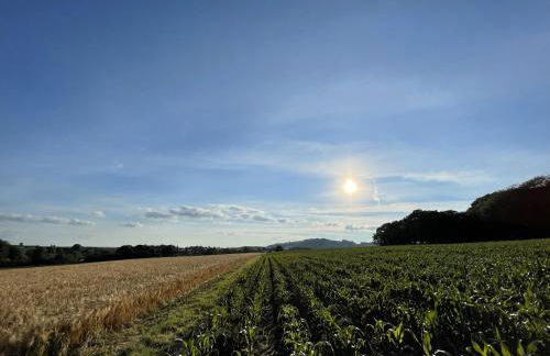 The Old Chapel - Photo 39