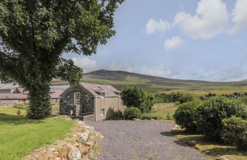 Bwthyn Derwin Fawr - Photo 25