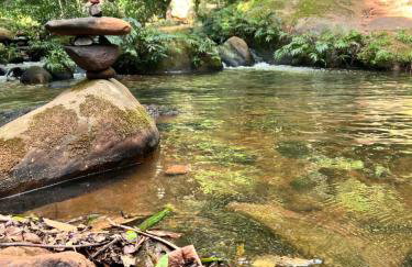Cabana na Mata Paraíso da Serra - Foto 19