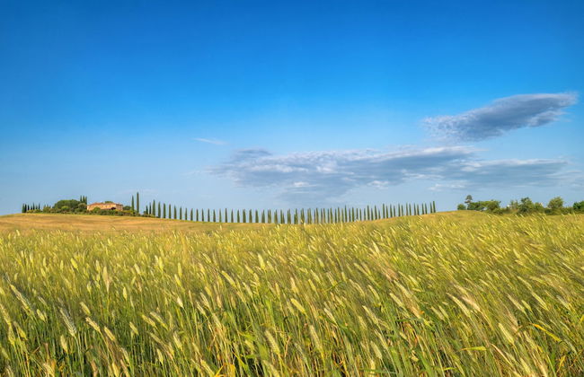 Le Sorbelle - Photo 30