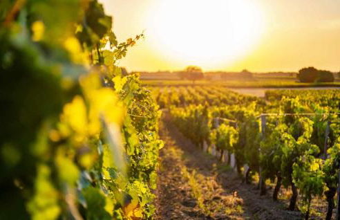 Cozy Home In Blois With Wifi - Foto 8