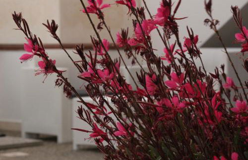 Residence Mare Azzurro - Foto 49