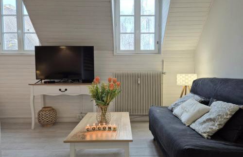 Le Cocon des Lumières Centre Chartres Parking - Foto 2