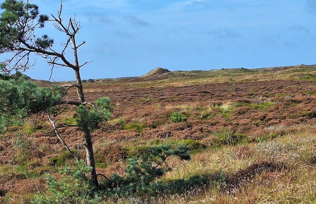 6 Person Holiday Home in Thyholm-by Traum - Photo 14