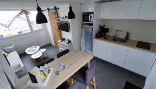 Maison VUE MER 50m PLAGE de TRESTEL GR34 entre Perros Guirec côte de granit rose et l'île de Bréhat - Foto 3, pet friendly, toaster