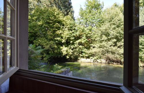 Cottage near the Mill Pond with a beautiful garden - Foto 22