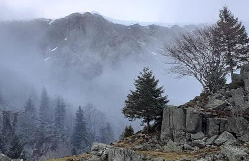 MUNSTER camping de la FECHT - Foto 38