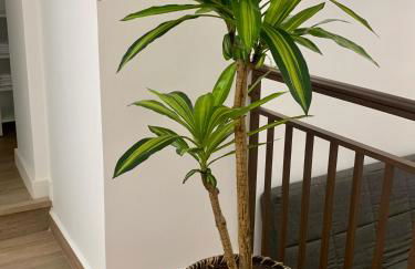 PUERTA DE CACERES Apartamento 2 - Foto 46