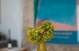 SUITE en Triana, tranquilo, independiente - Foto 33