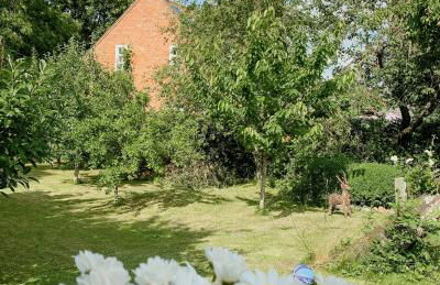 Holiday Idyll In East Frisia - Foto 8