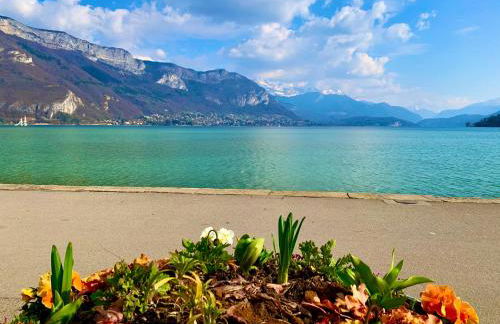 Le Studio Savoyard - Foto 40