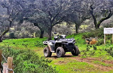 Monte do Alento - Castro da Cola - Foto 54