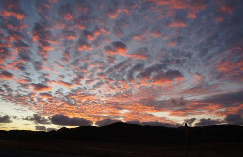 Apartment Flat Piatto Wohnung Marianne Corralejo - Photo 37