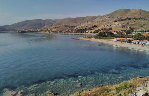 Enalion House - Photo 22