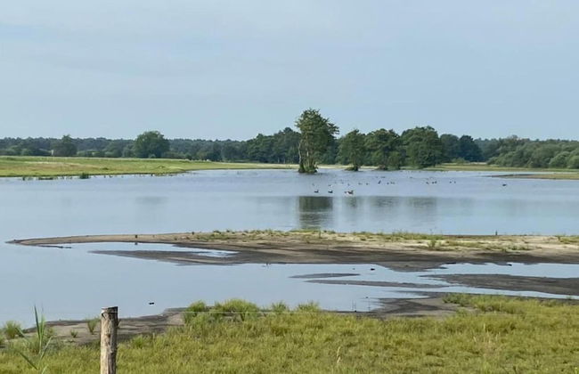 Cottage in Leenderbos Near Nature Reserve - Photo 31