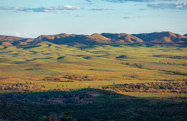 Bendleby Ranges - Foto 62