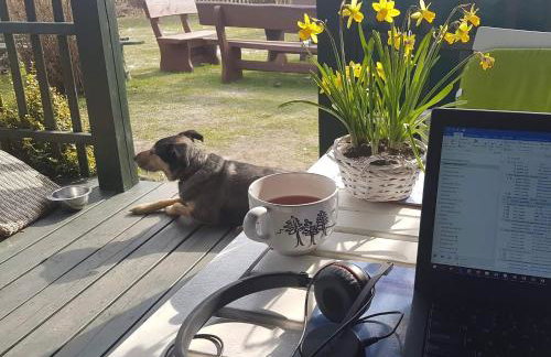 Zielony Domek z jacuzzi - Foto 26