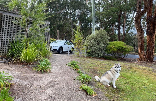 Groovy Log House Lorne Ocean View Log House Pet Friendly Freshly Renovated - Photo 20