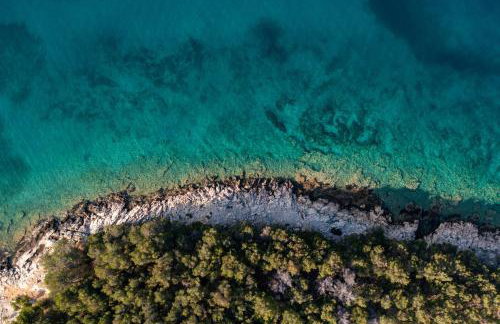 Venettus premium mobile home - Foto 39