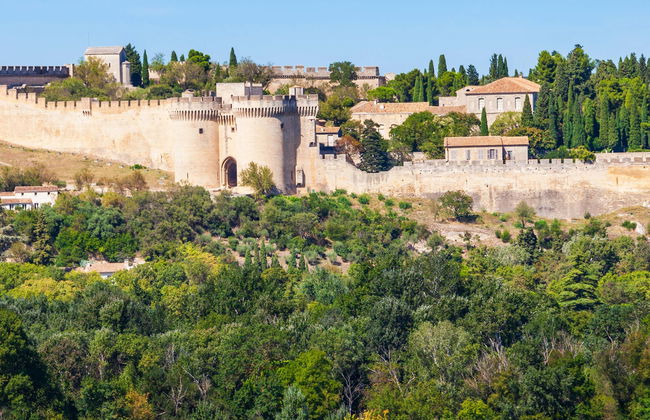 Fort of Saint-André Tickets - Photo 1