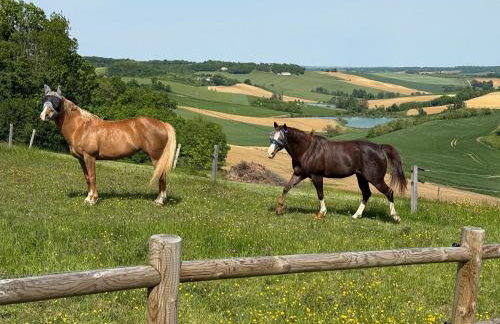 Logement entier de charme, gite équestre GERS Flamarens - Foto 8