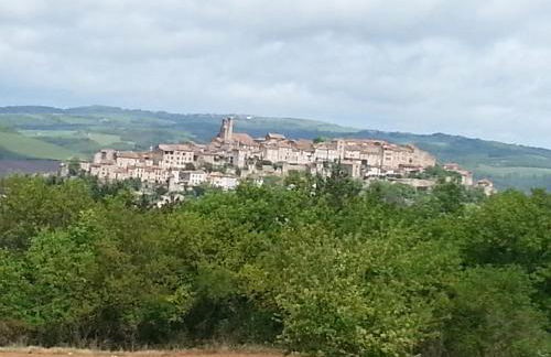 Lougat la maison des chats - Foto 18