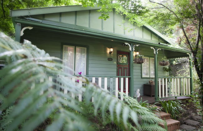 Strawberry Patch - Foto 1