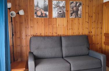 Studio in Morillon village, mountain view - Foto 12
