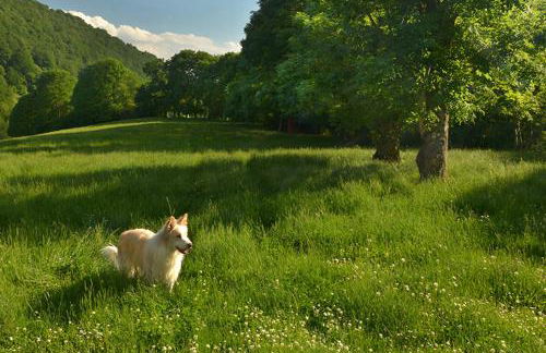 Casa Rural Borda Lenco - Foto 24