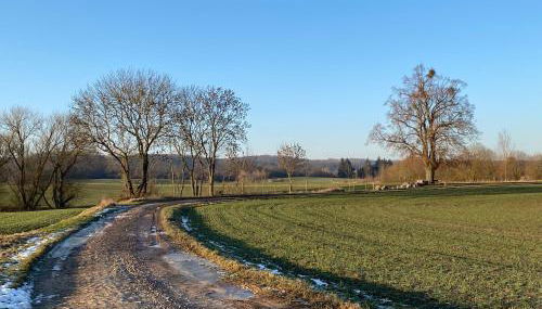 Kleine Auszeit - Foto 4