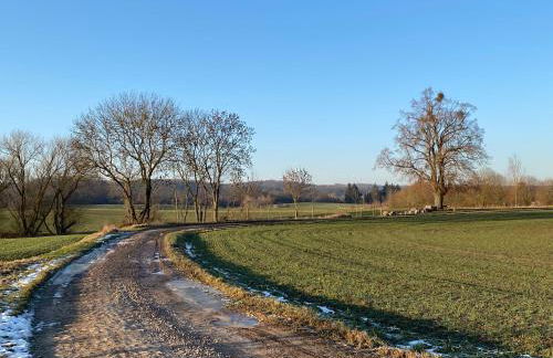 Kleine Auszeit - Foto 4