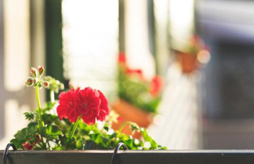 Zlatin Dvor - apartments for 3, terrace, Trogir center, beach at 5-min, BIKE friendly - Foto 54