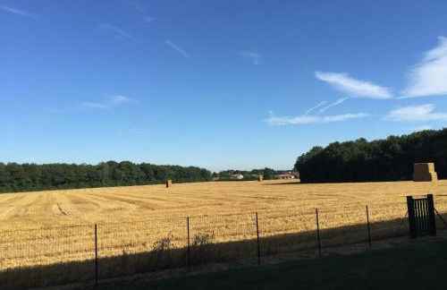 la ferme de Martine - Foto 29