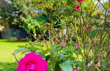 Suite Cupidon- Domaine des trois châteaux - Foto 142