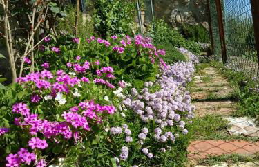 House with stunning views - Foto 13