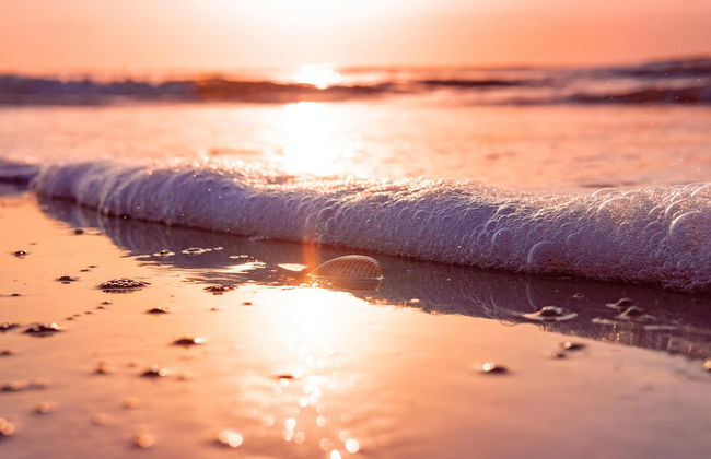 Luxury beachfront villa with private pool and cozy Pavillon with private jacuzzi on rooftop terrace - Photo 75