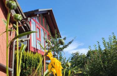 Gästehaus Aurelia - Foto 34